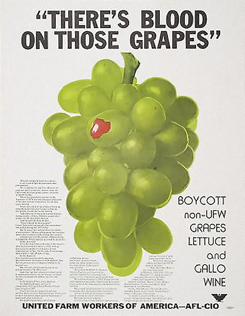 Grape Boycott Simple Definition at Betty Villarreal blog